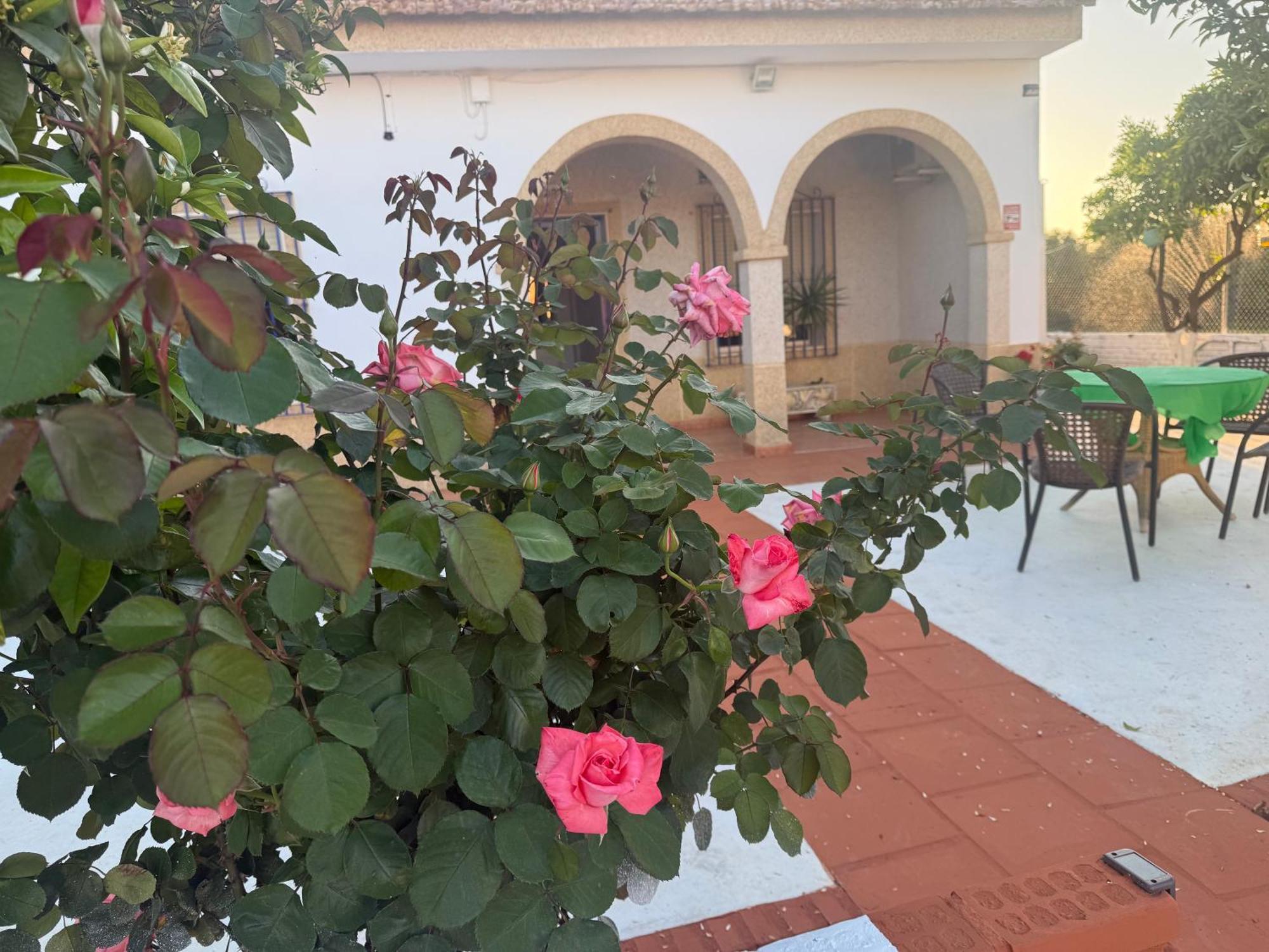 La Casa Del Flamenco Holiday home *
