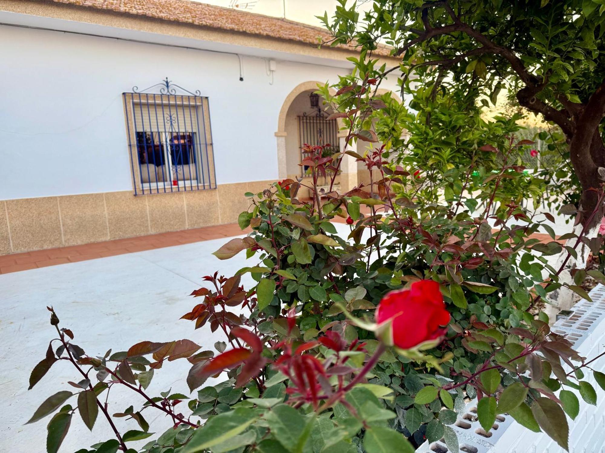 La Casa Del Flamenco Holiday home