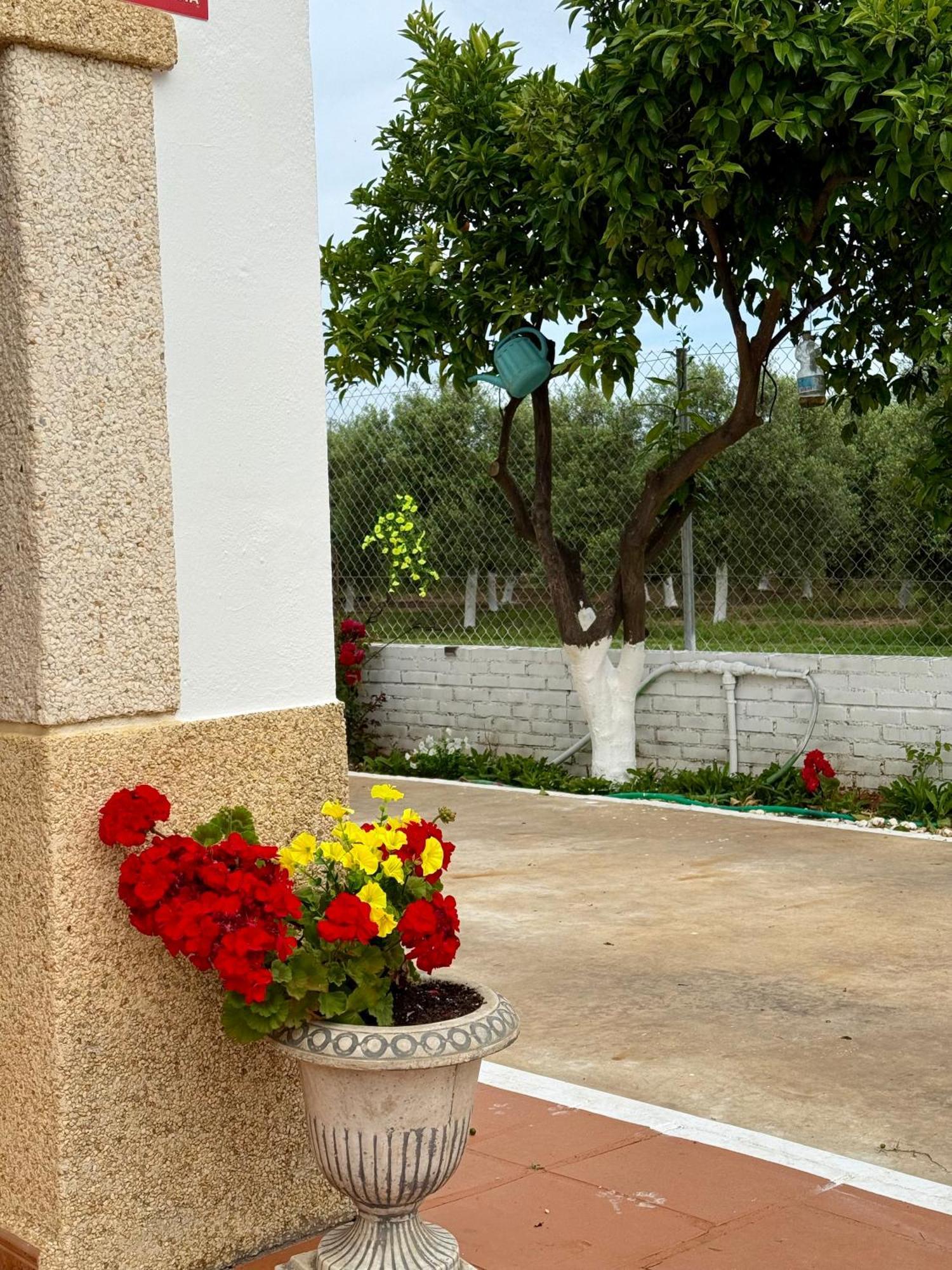 La Casa Del Flamenco Holiday home *